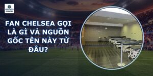 Fan Chelsea Gọi Là Gì