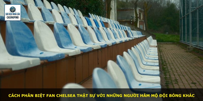 Cách phân biệt fan Chelsea thật sự với những người hâm mộ đội bóng khác