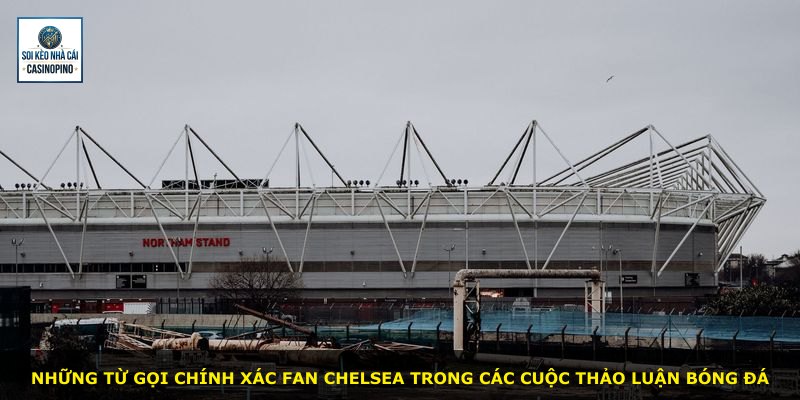 Những từ gọi chính xác fan Chelsea trong các cuộc thảo luận bóng đá