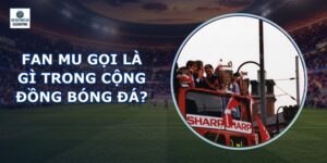 Fan Mu Gọi Là Gì