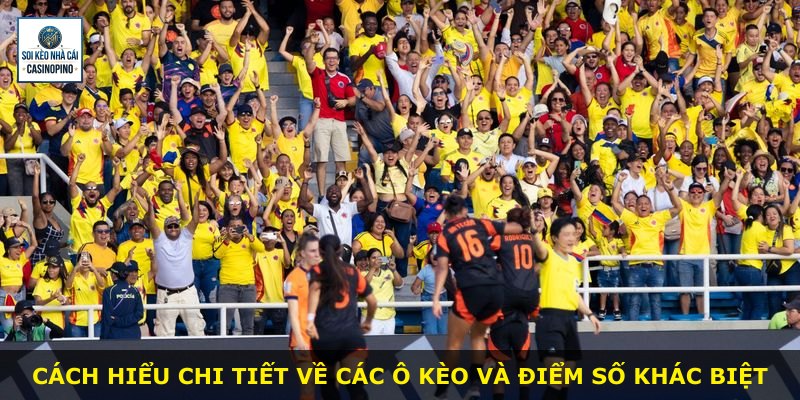 Cách hiểu chi tiết về các ô kèo và điểm số khác biệt