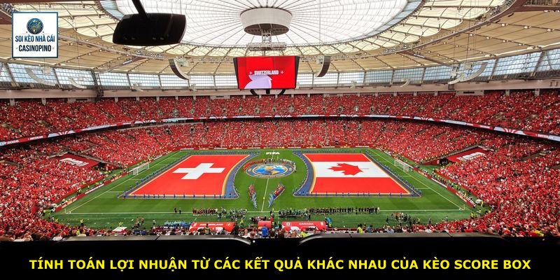 Tính toán lợi nhuận từ các kết quả khác nhau của kèo Score Box